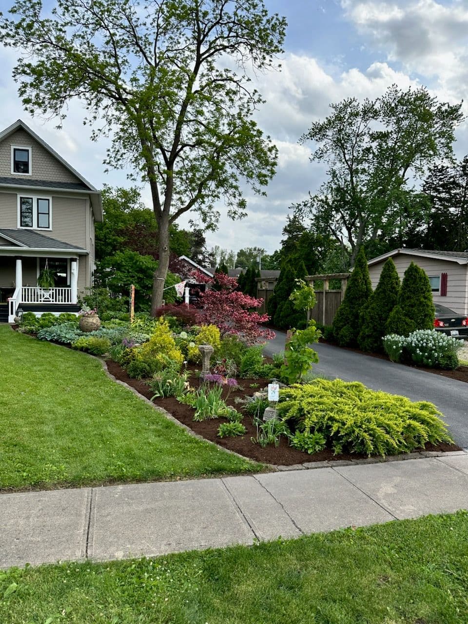Revitalized Gardens with Expert Mulching