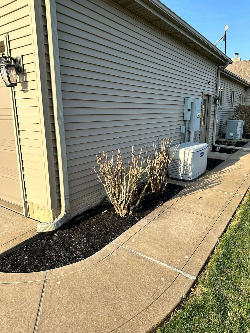 Side view of a house featuring shrubs, concrete walkway, and utility equipment.